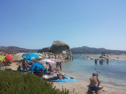 Sapling beach'in fotoğrafı ve güzel manzarası