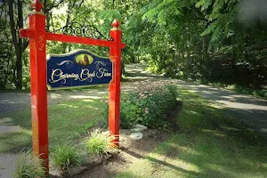 Charming Creek Farm & Weddings image