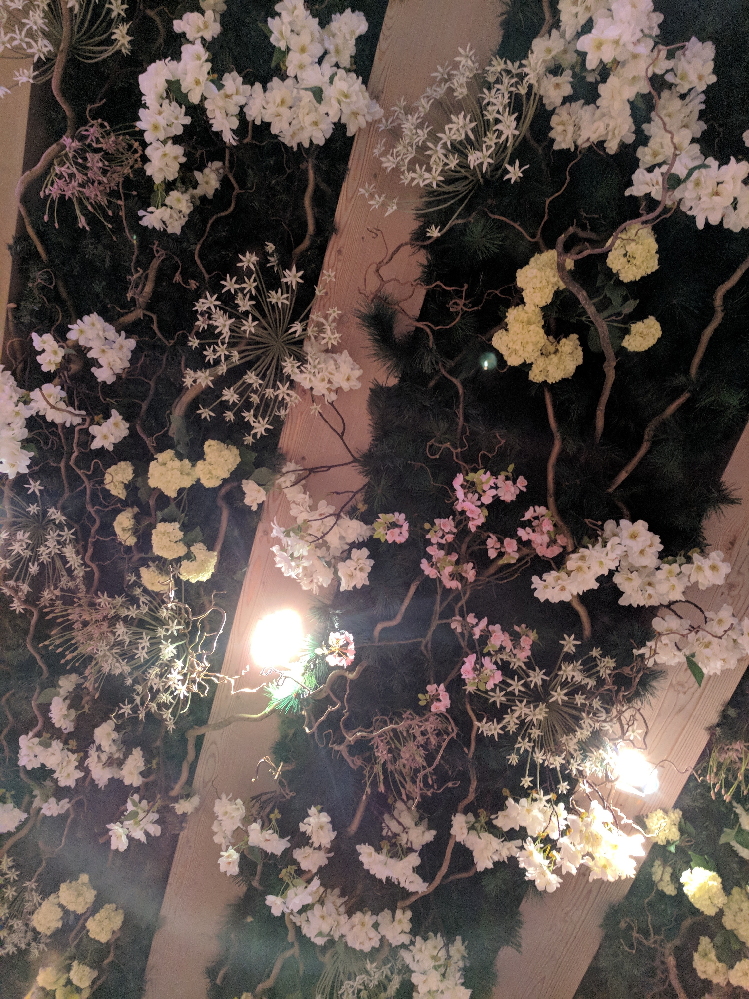 Photo n° 3 de l'avis de Rohit.u fait le 01/05/2018 à 20:13
