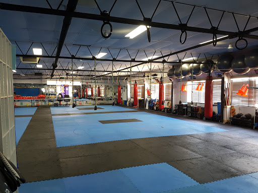 Martial Arts Training Company