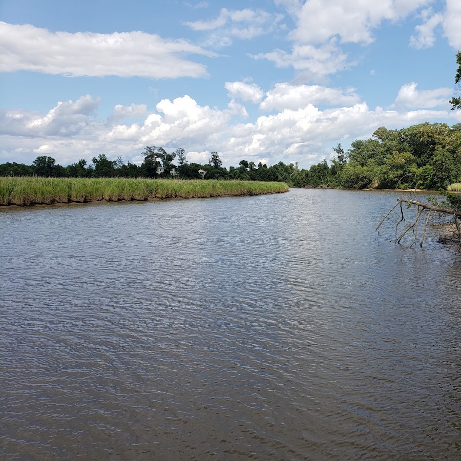 Rappahannock River Valley National Wildlife Refuge - Hutchinson Unit