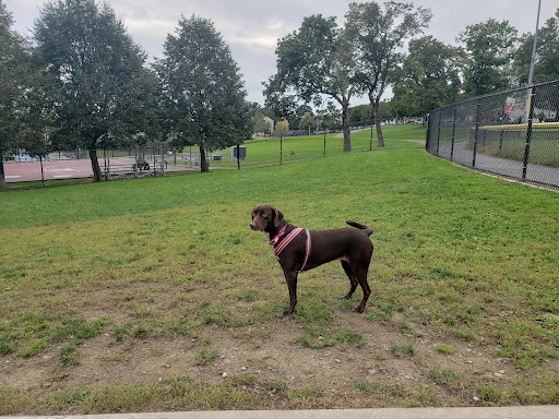 Vernon Hill Dog Park