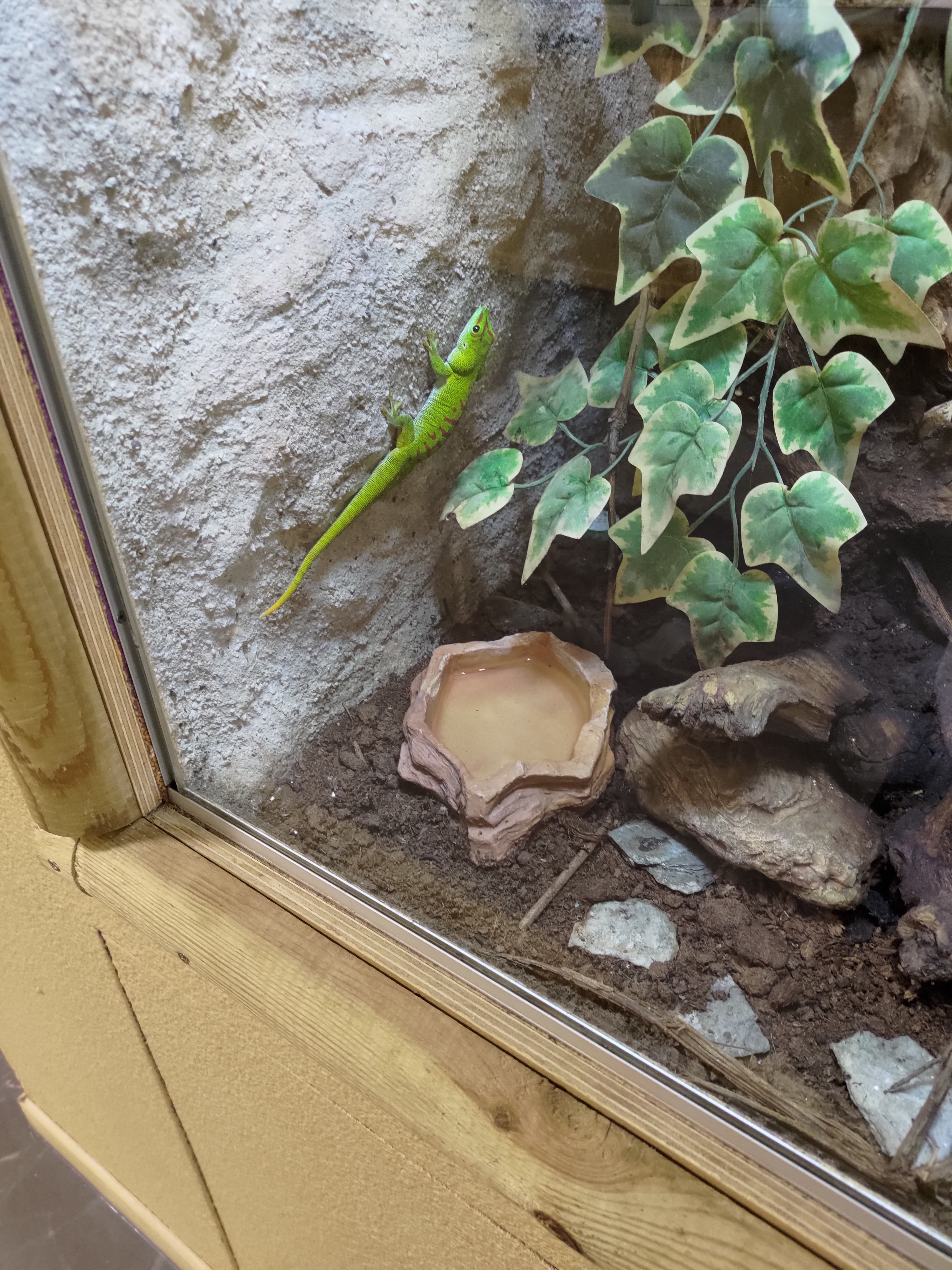 Photo n° 3 de l'avis de Nest.3 fait le 13/07/2023 à 19:12