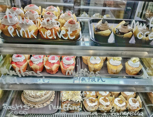 Beagle en Sabadell, Barcelona