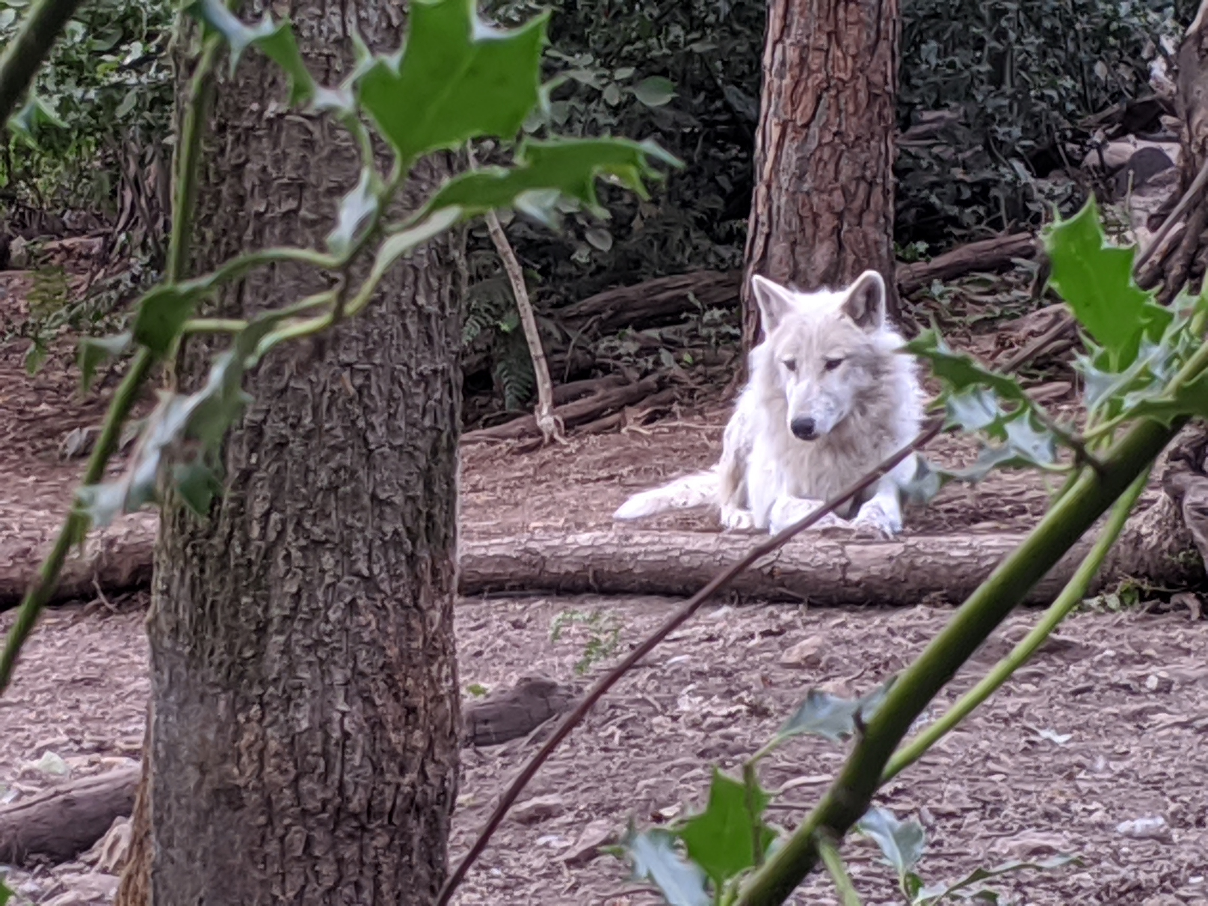 Photo n° 4 de l'avis de jph.e fait le 04/08/2020 à 17:20
