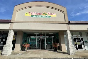 The Tanning Spot image