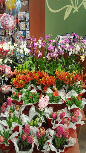 Grocery Store «Kroger», reviews and photos, 3630 Thompson Bridge Rd, Gainesville, GA 30506, USA