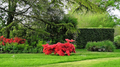 Achat groupé France à Saint-Christophe-du-Bois