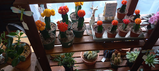 Farm «B & B Flower Farm», reviews and photos, 668 Jones Hill Rd, West Haven, CT 06516, USA