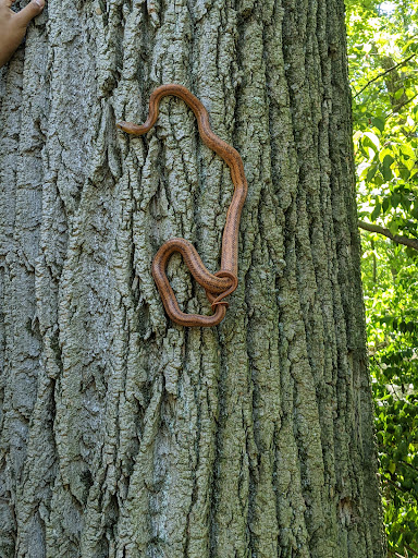 Retreat Center «Refreshing Mountain Retreat and Adventure Center», reviews and photos, 455 Camp Rd, Stevens, PA 17578, USA