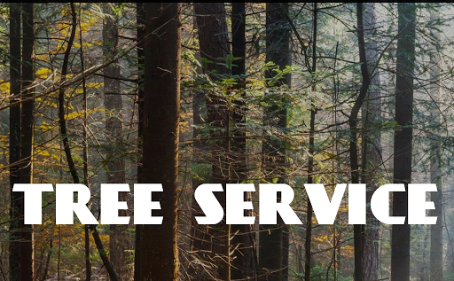 Tree Service Frisco