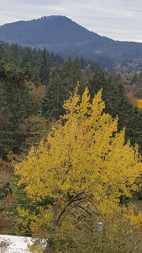 Park «Hendricks Park», reviews and photos, Summit Ave & Skyline Blvd, Eugene, OR 97403, USA