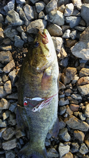 Canoe & Kayak Store «Cannon Falls Canoe and Bike Rental», reviews and photos, 615 N 5th St, Cannon Falls, MN 55009, USA