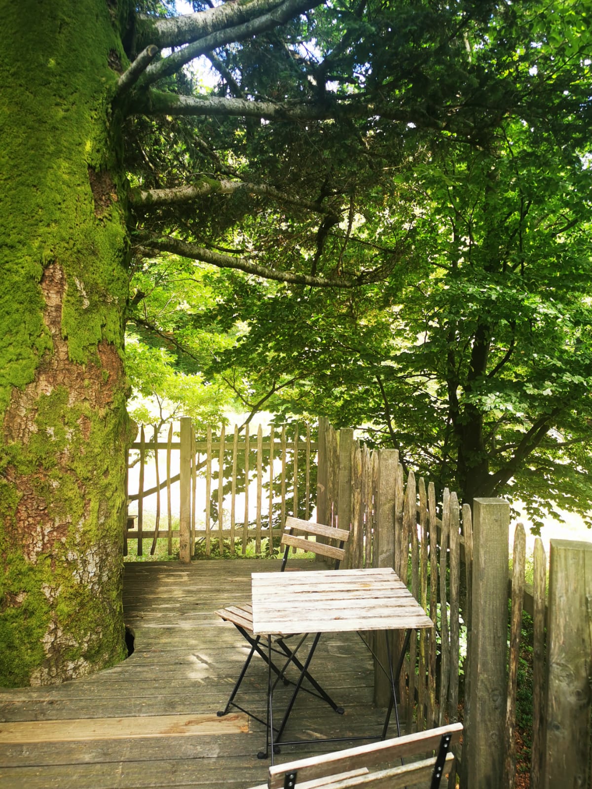 Photo n° 3 de l'avis de Lebrun.i fait le 21/07/2023 à 20:27