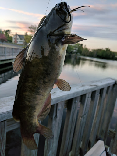 Caterer «Lakeside Manor», reviews and photos, 10 Foster Ave, Gibbsboro, NJ 08026, USA