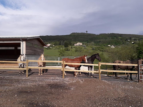 Centre Equestre des Monts d'Or à Lissieu