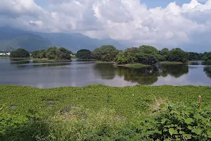 Mookaneri Bird Watching Spot image