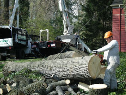 GP Tree Service