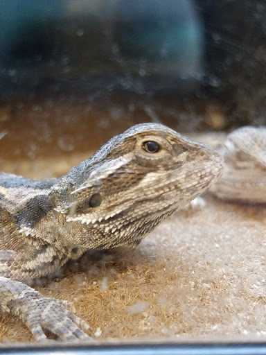 Pet Supply Store «Petco Animal Supplies», reviews and photos, 2910 Wilshire Blvd, Santa Monica, CA 90403, USA