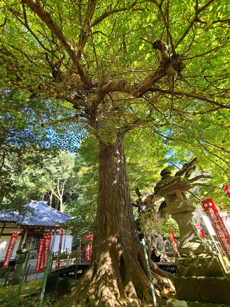 高野山真言宗養伽山益山寺