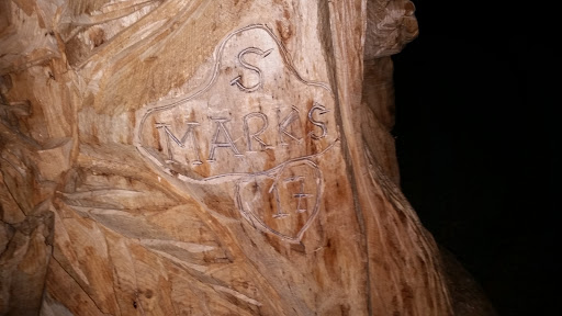 Dog Park «Portage Dog Friendly Area», reviews and photos, 4100 N Long Ave, Chicago, IL 60641, USA