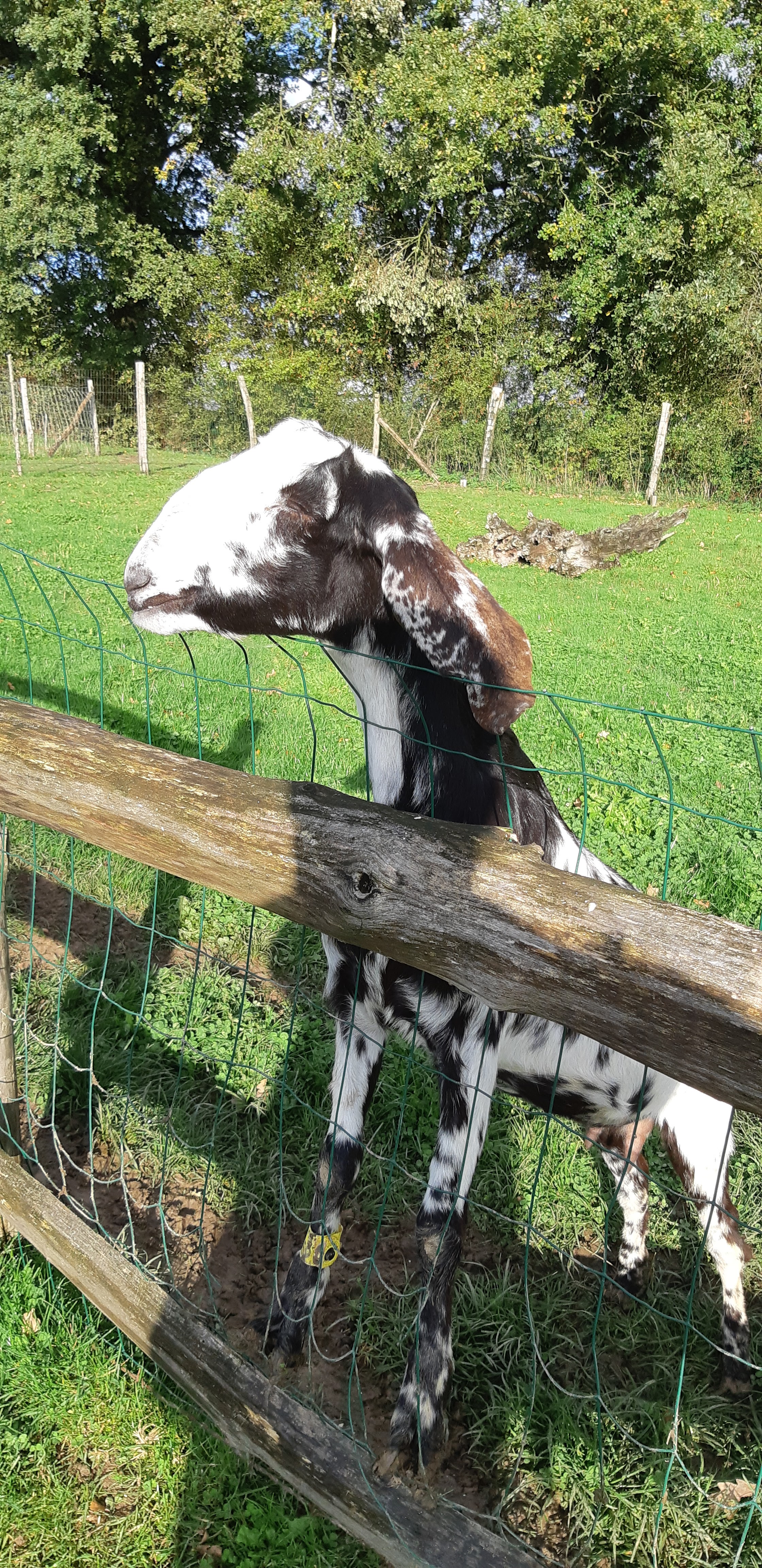 Photo n° 10 de l'avis de Yannick.a fait le 27/10/2019 à 14:17