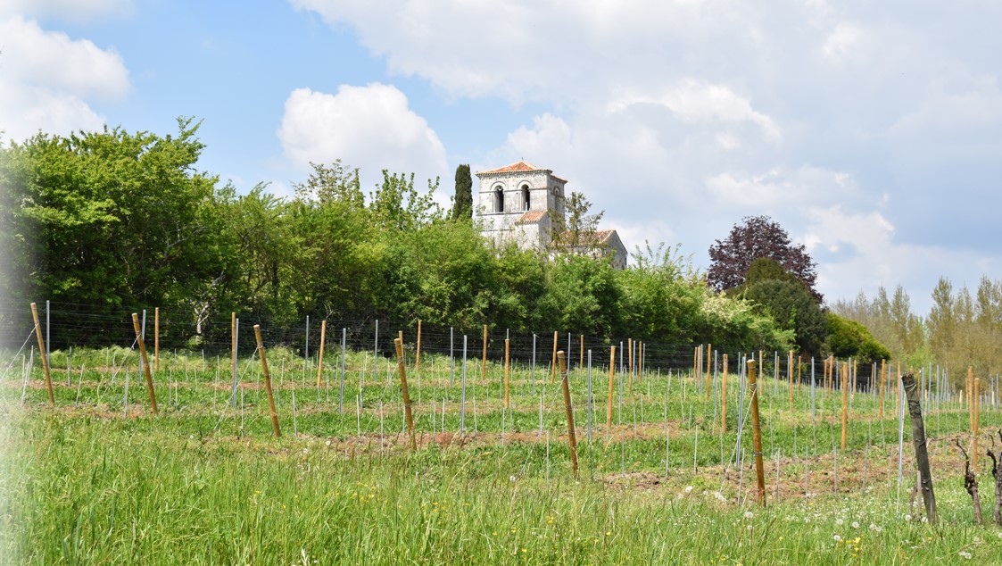 Photo n° 4 de l'avis de T2000. fait le 24/04/2022 à 18:52