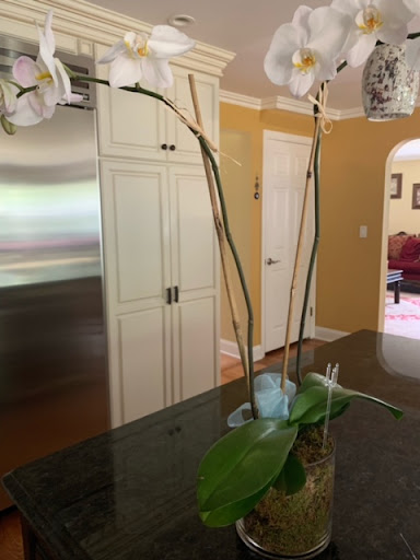 Florist «Flowers from Hannah», reviews and photos, 1098 Mt Kemble Ave, Morristown, NJ 07960, USA