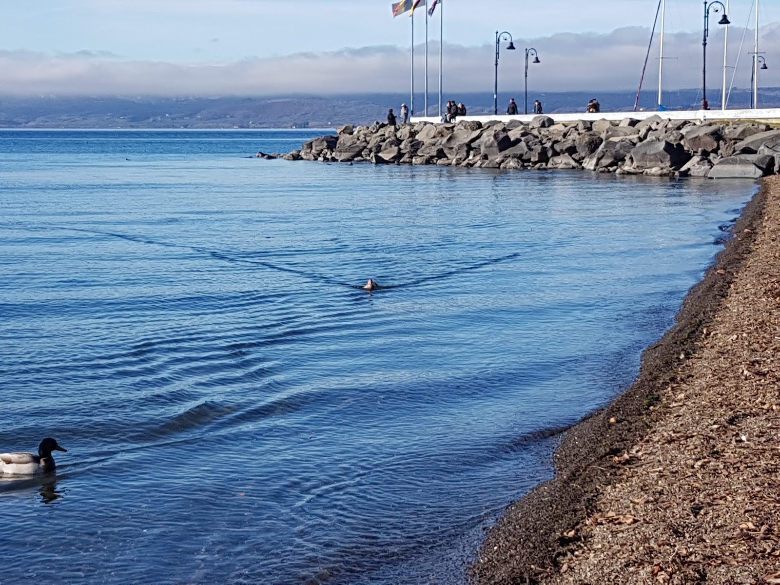 Φωτογραφία του Spiaggia Lago Bolsena με ευρύχωρη ακτή