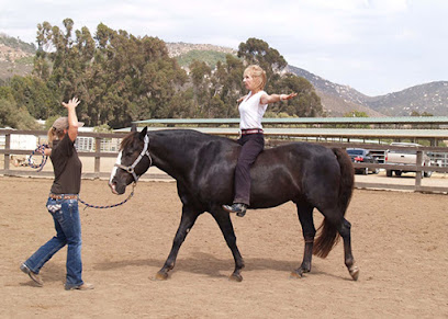 Ray of Sunshine Equestrian Therapy