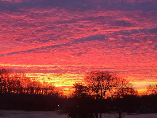 Golf Course «Temple Hills Country Club», reviews and photos, 6376 Temple Rd, Franklin, TN 37069, USA