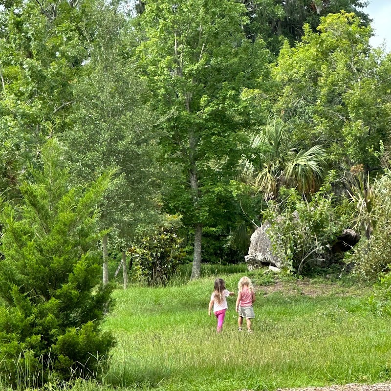 UCF Arboretum