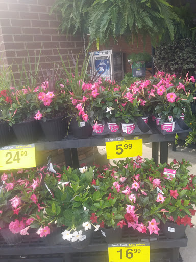 Grocery Store «Kroger», reviews and photos, 48 Bullsboro Dr, Newnan, GA 30263, USA