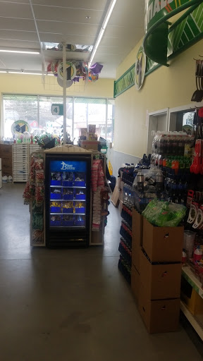 Dollar Store «Dollar Tree», reviews and photos, 383 Allen St, Springfield, MA 01118, USA