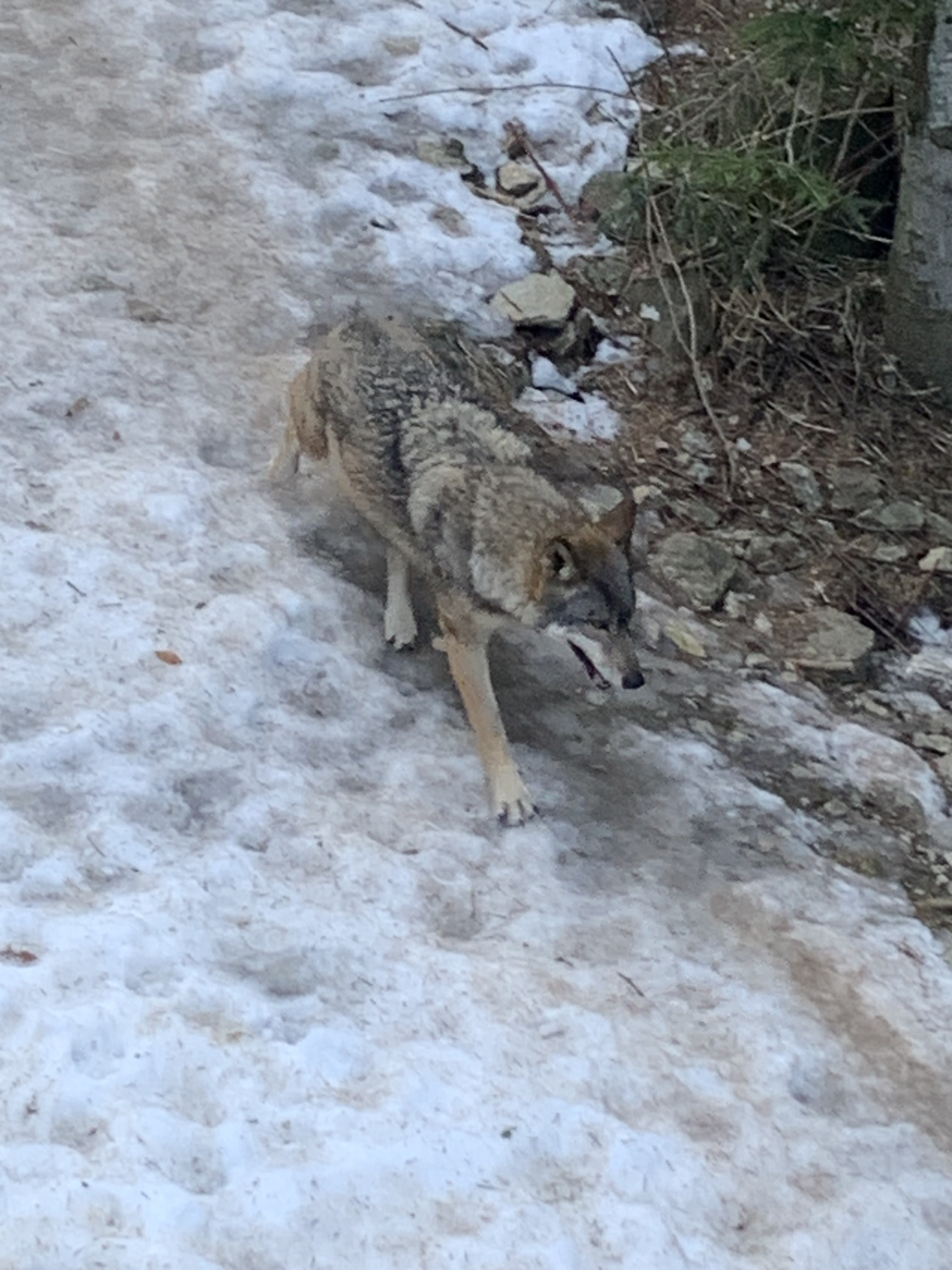 Photo n° 3 de l'avis de Montoya.e fait le 05/01/2024 à 16:00
