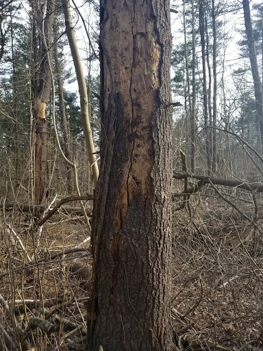 Farm «Pequitside Farm», reviews and photos, 79 Pleasant St, Canton, MA 02021, USA