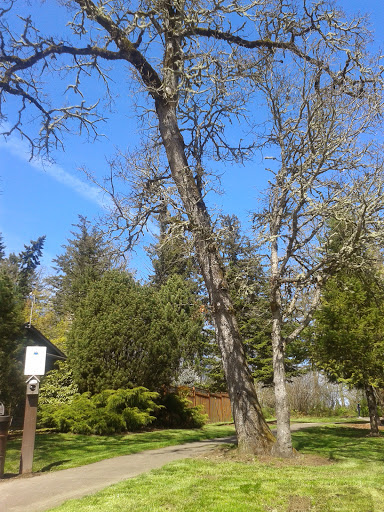 Park «Autumn Ridge Park», reviews and photos, NW Fieldstone Dr, Beaverton, OR 97006, USA