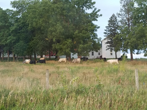 Golf Course «Tournament Club of Iowa», reviews and photos, 1000 Tradition Dr, Polk City, IA 50226, USA