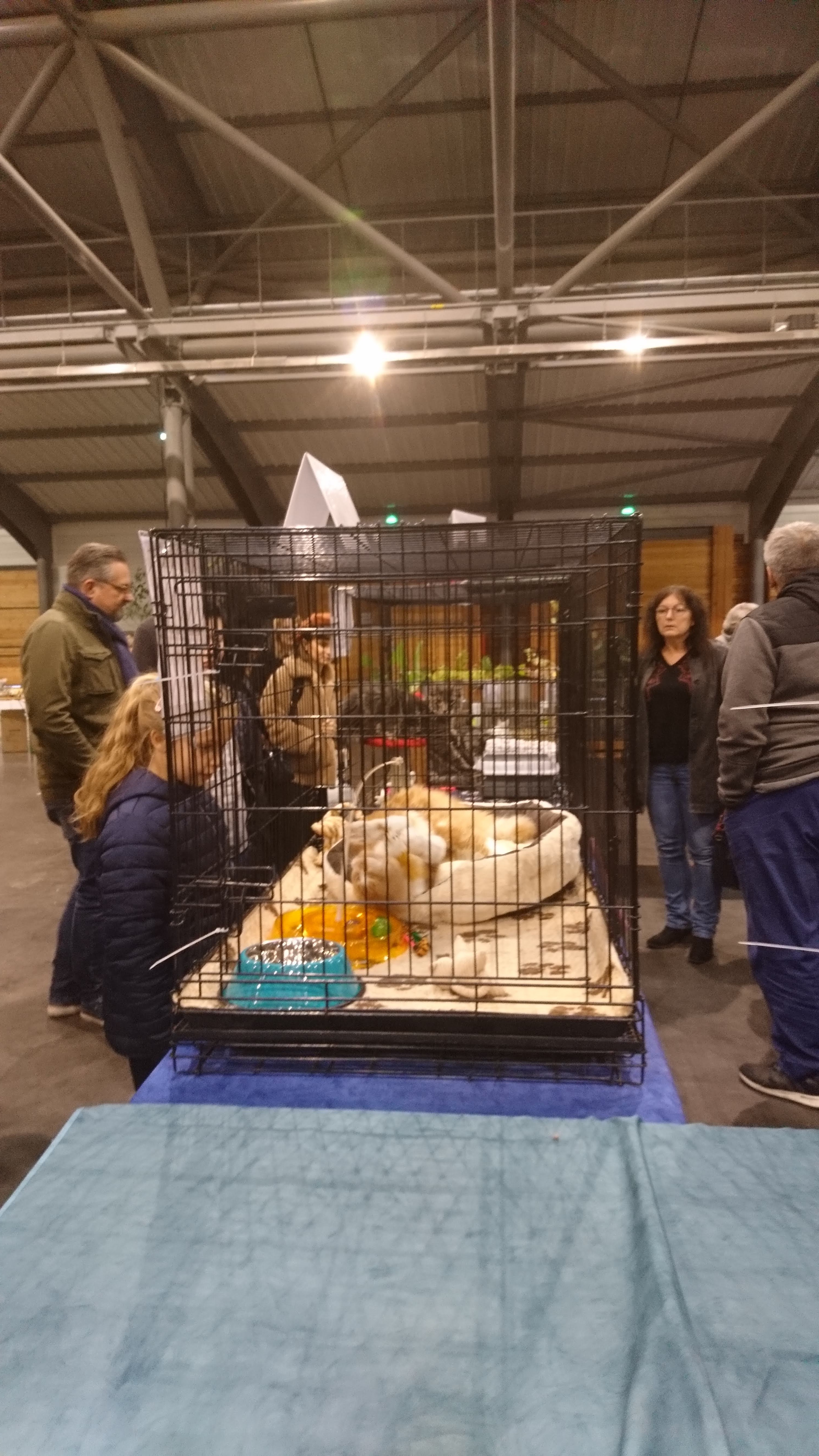 Photo n° 2 de l'avis de Francis.g fait le 05/09/2018 à 16:30