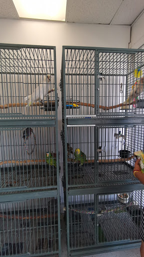 Pet Store «Animal Lovers Pet Shop», reviews and photos, 24028 Vista Montana, Torrance, CA 90505, USA