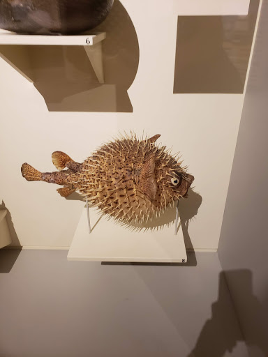 Clothing Store «Peabody Essex Museum Shop», reviews and photos, 161 Essex St, Salem, MA 01970, USA