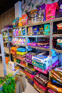 petNmind Naturals Fort Lauderdale - Photo 7 - Car repair in Fort Lauderdale, FL, Fort Lauderdale