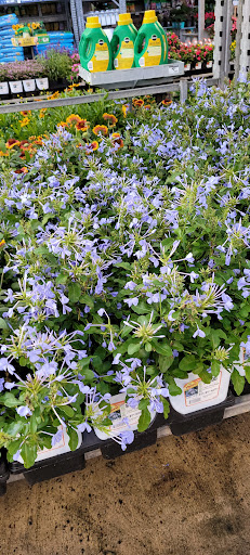 Home Improvement Store «The Home Depot», reviews and photos, 8445 Little Rd, New Port Richey, FL 34654, USA