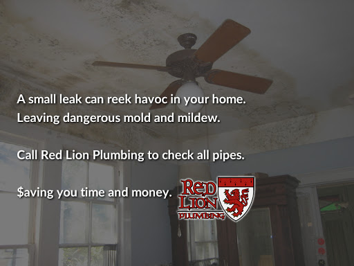 Plumber «Red Lion Plumbing», reviews and photos, 14631 Timbergreen Dr, Magnolia, TX 77355, USA