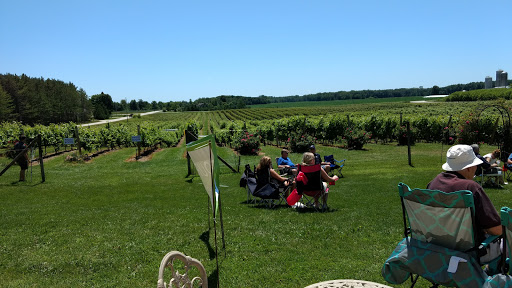 Winery «Parallel 44 Vineyard & Winery», reviews and photos, N2185 Sleepy Hollow Rd, Kewaunee, WI 54216, USA