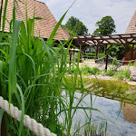 Photo n°2 de l'avis de Katja.. fait le 07/07/2020 à 17:28 sur le  Hotel Kolonieschänke Burg/Spreewald à Burg