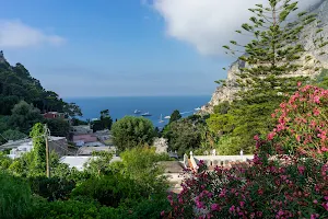 Sentiero di valico tra Capri e Anacapri image