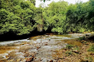 Guapiaçú River image