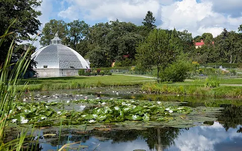 Bergianska trädgården image