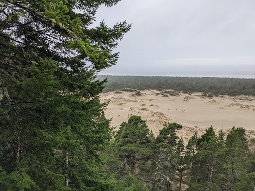 Cafe «Siuslaw River Coffee Roasters», reviews and photos, 1240 Bay St, Florence, OR 97439, USA